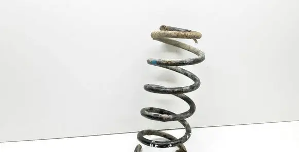 Volkswagen PASSAT B5.5 Rear coil spring
