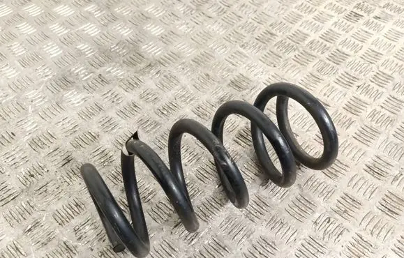 Rear coil spring