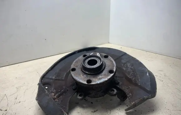 Volkswagen PASSAT B5.5 Rear wheel hub