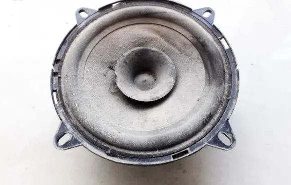 Renault Scenic I Front door speaker