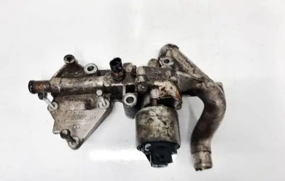 Chevrolet Captiva EGR valve 92067570