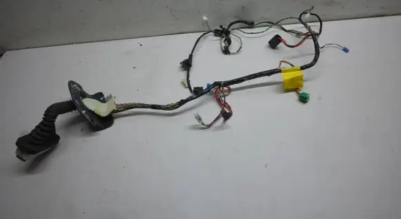 Front door wiring loom