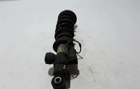 BMW 6 F12 F13 Rear shock absorber/damper 6798407