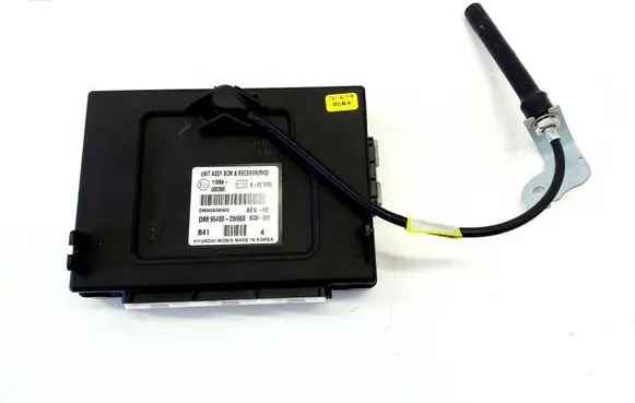 Hyundai Santa Fe BSM Control unit 954002W660 2W95411100