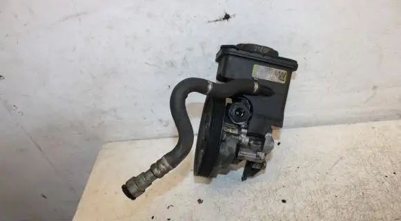 BMW 5 E39 Power steering pump 1095749