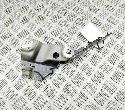 Renault Zoe Engine bonnet/hood hinges 654009955R