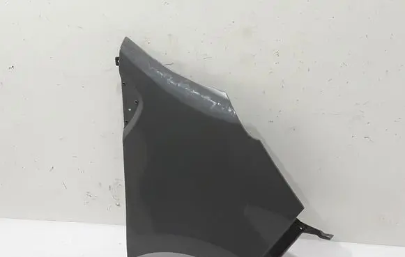 Renault Trafic III (X82) Fender 631004953R