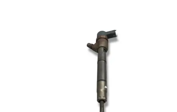 KIA Ceed Fuel injector 0445110320 338002A900