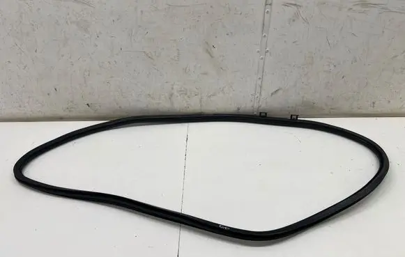 Mercedes-Benz EQE v295 Front door rubber seal A2956970200