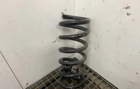 Ford Mustang VI Rear coil spring FR3C5560LA