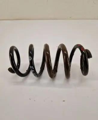 Toyota RAV 4 (XA40) Rear coil spring 