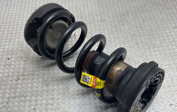 Rear coil spring