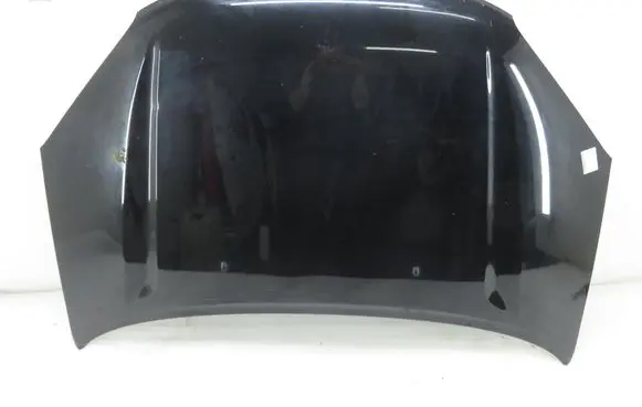 Toyota RAV 4 (XA20) Engine bonnet/hood 