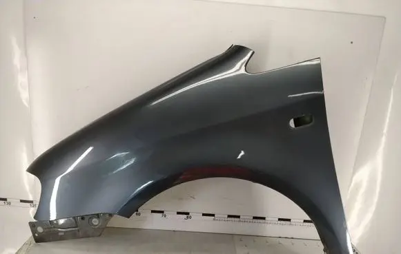 Volkswagen Caddy Fender 1T0821155