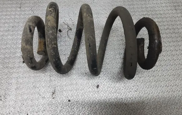 Front coil spring
