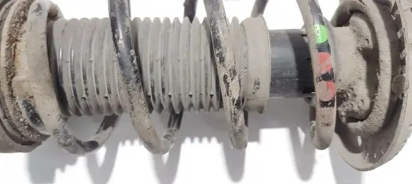 Skoda Roomster (5J) Front coil spring