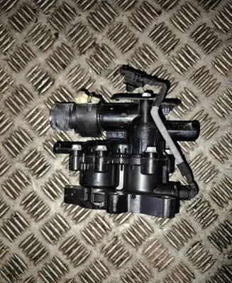 Thermostat/thermostat housing
