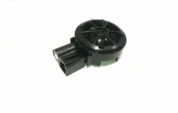 Front door high frequency speaker
