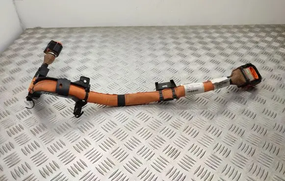 Renault Zoe Other wiring loom 297A20686R 242964894R
