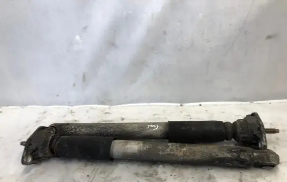 Porsche Panamera (970) Rear shock absorber/damper 970333061