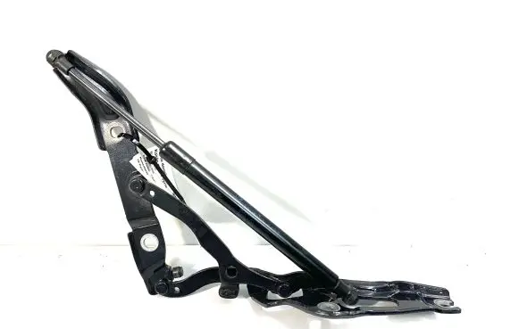 BMW 2 F22 F23 Tailgate/trunk/boot hinge 7304557