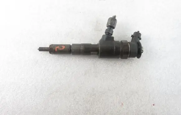 Peugeot 206 Fuel injector 0445110252