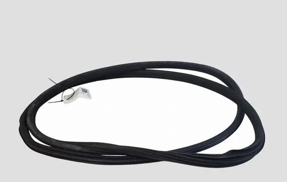 Citroen C4 I Front door rubber seal