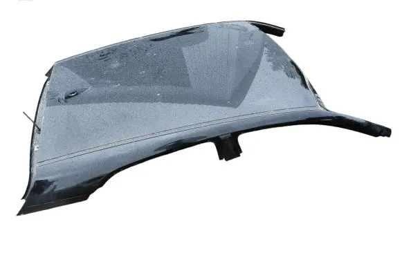 KIA Rio Roof 