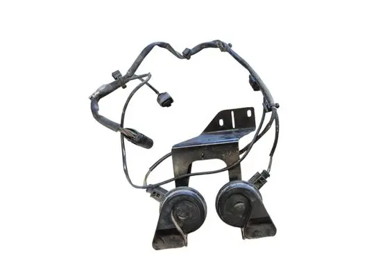 Horn signal