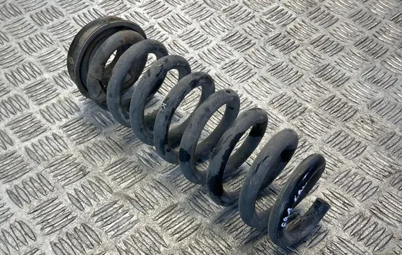Rear coil spring