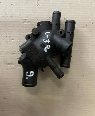Thermostat/thermostat housing