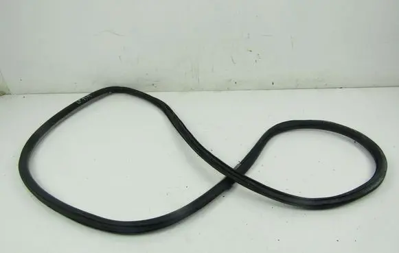 Volkswagen PASSAT B5.5 Front door rubber seal 