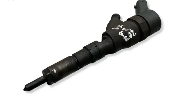 Peugeot 307 Fuel injector 0445110076