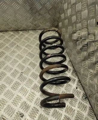 Rear coil spring