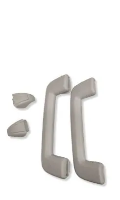 Ford Focus A set of handles for the ceiling 