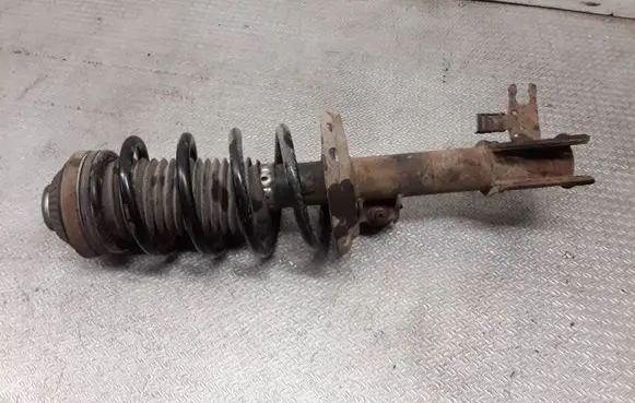 Opel Zafira B Front shock absorber with coil spring