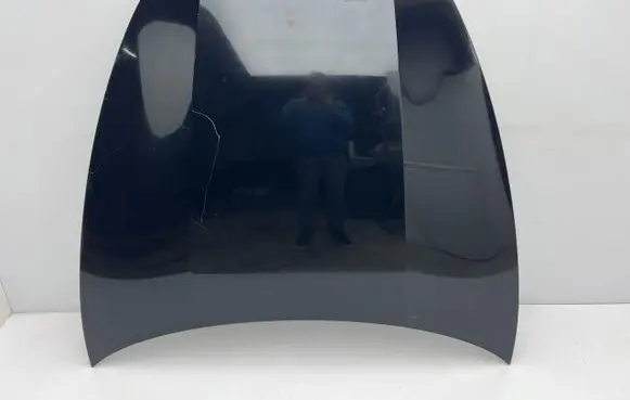 Engine bonnet/hood