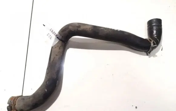 Ford Focus Engine coolant pipe/hose