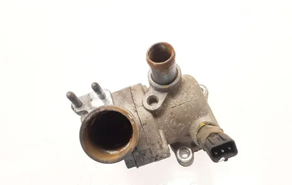 Thermostat/thermostat housing