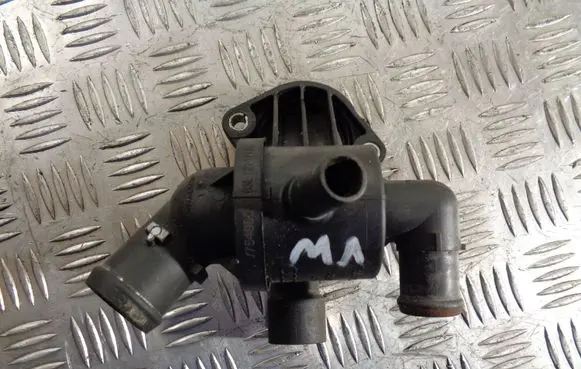 Thermostat/thermostat housing