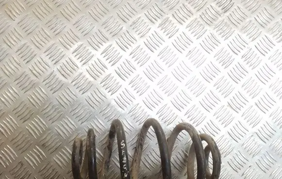 Rear coil spring