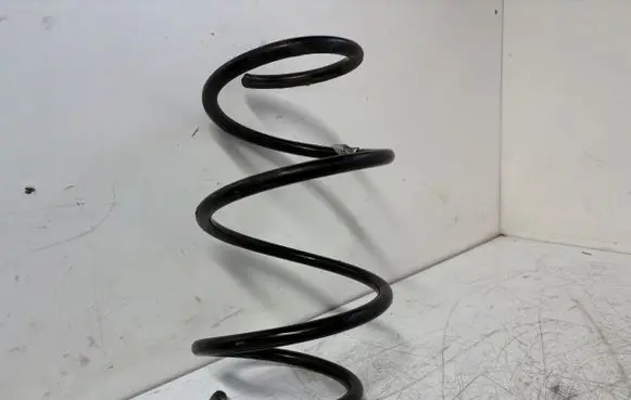 Front coil spring