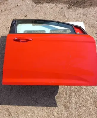 Ford Focus Front door 