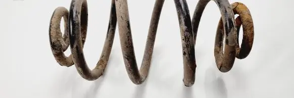 Volkswagen PASSAT B5 Rear coil spring