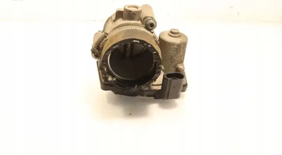 Throttle body valve