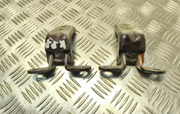 Hyundai Sonata Front door hinge set 