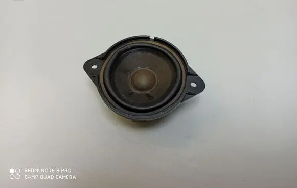 Panel speaker