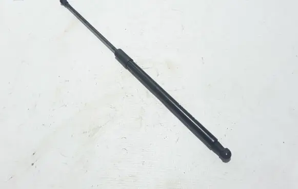 Tailgate strut