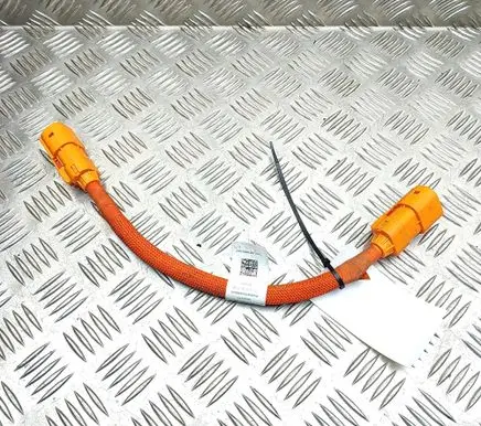 Audi E-tron GT Other wiring loom 9J1971061A