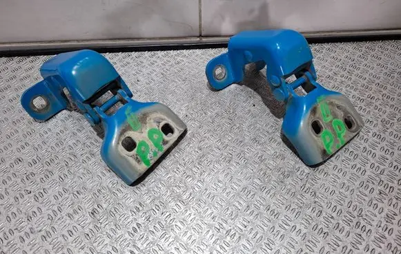 Renault Trafic II (X83) Front door hinge set 